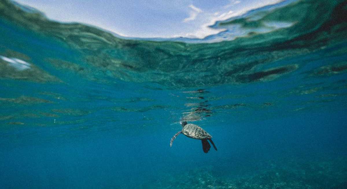 World - Small solutions, big impacts: 5 community-based projects tackling climate change