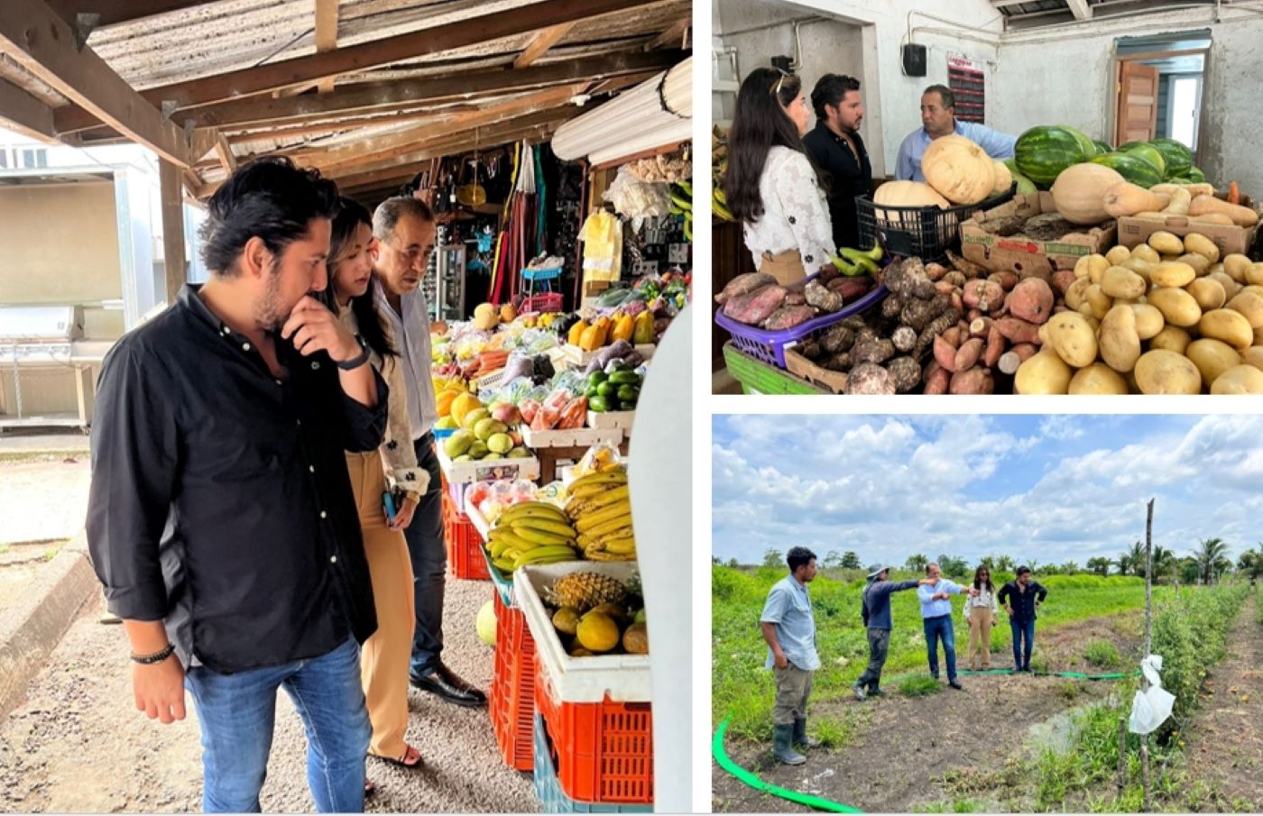 Investment opportunities in agriculture discussed between Agriculture Minister Jose Abelardo Mai and Israeli international company