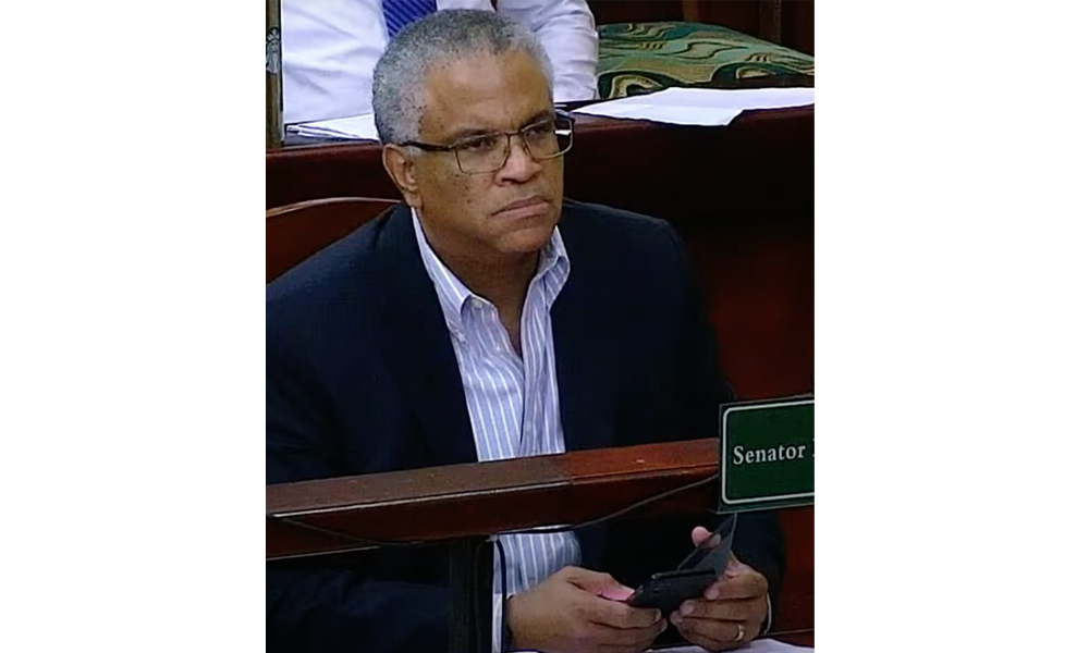 Senate debates BZ$66 mil in loan motions