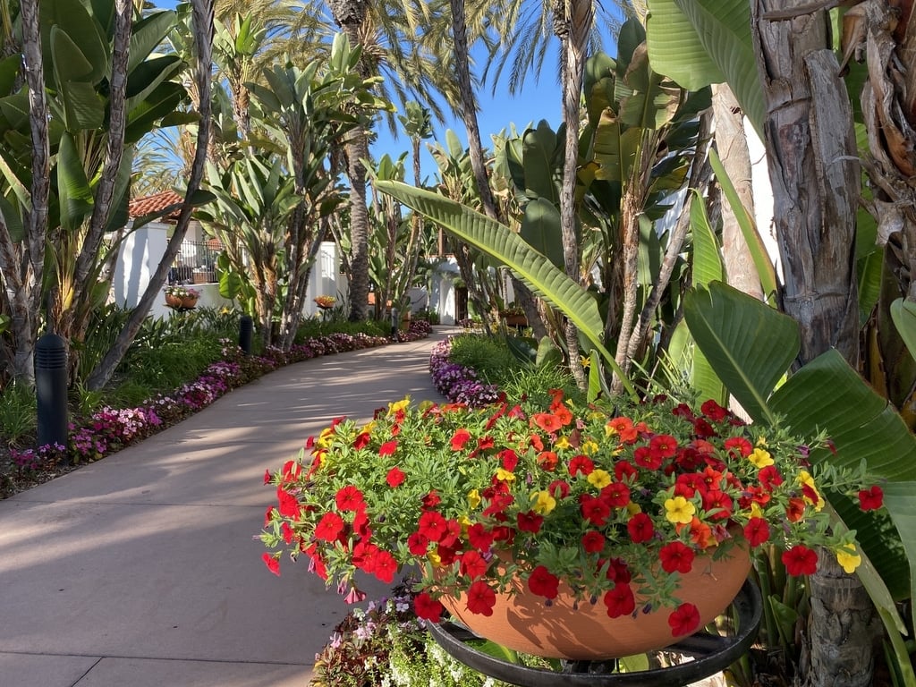 How Much Are 20k Miles Worth? Best Ways To Redeem 20,000 Miles